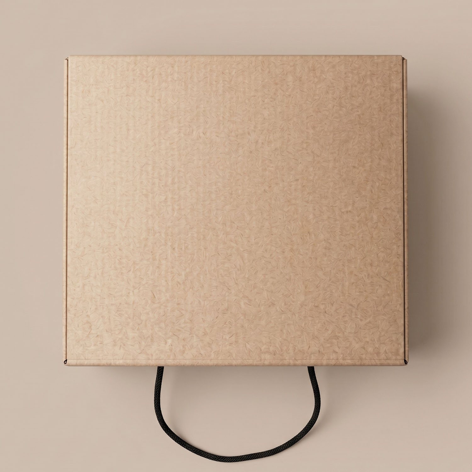 CAJA MEDIANA 22x22x10cm - Imagen 2